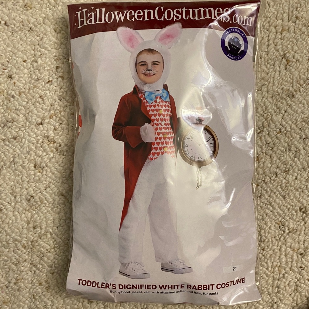 Halloween costume: white rabbit